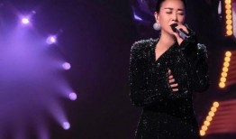 潜龙爆料韩红视频大全,韩红视频大全背后的故事与真相